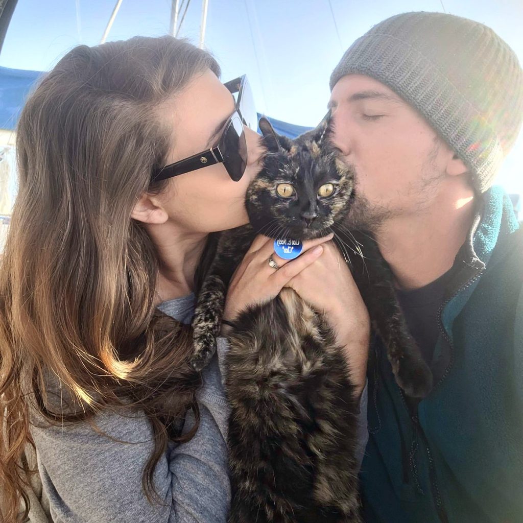 Sailing cat