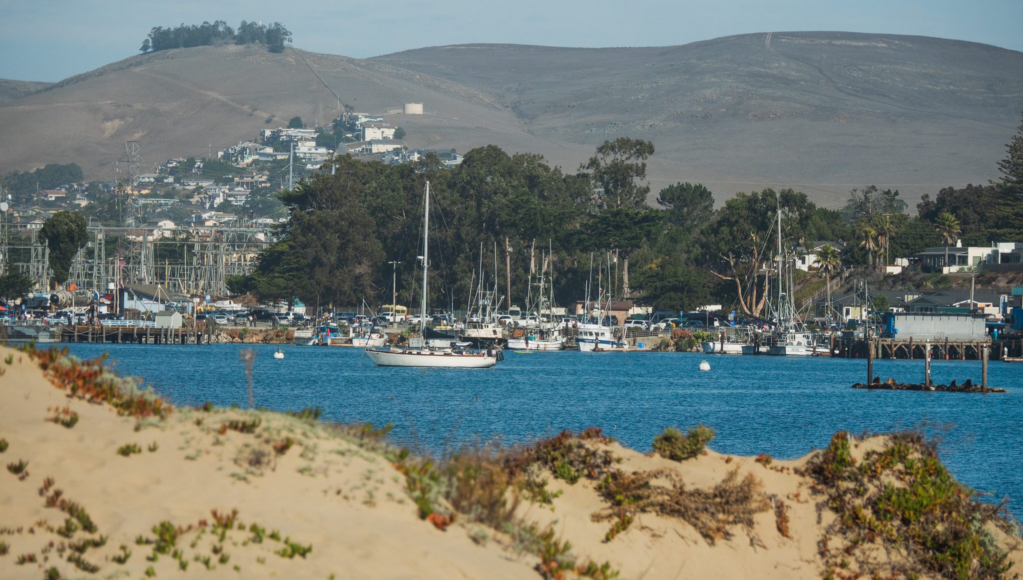 Avocet anchored in Morro Bay