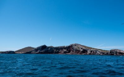 Isla Isabel, Mexico