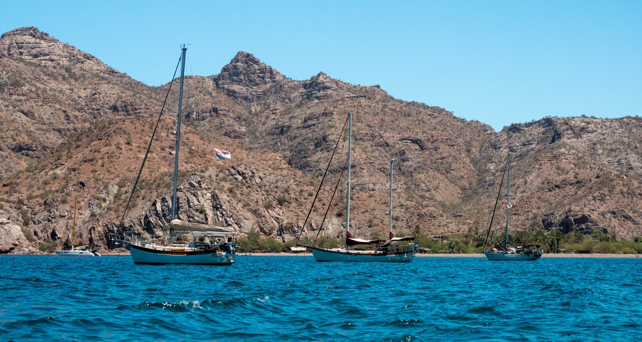 Kessel, Remedy, and Avocet in Agua Verde